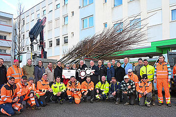 Bürgermeister Thomas Steiner mit den Bürgermeistern des Bezirkes Mattersburg und ihren Mitarbeitern bei der offiziellen Übergabe der Jubiläumsbäume. 