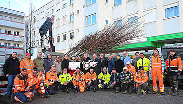 Bürgermeister Thomas Steiner mit den Bürgermeistern des Bezirkes Mattersburg und ihren Mitarbeitern bei der offiziellen Übergabe der Jubiläumsbäume. 