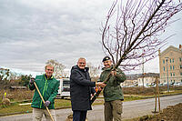 Bürgermeister Thomas Steiner gemeinsam mit Militärkommandant Gernot Gasser und Stadtgärtnermeister Stefan Ferschich (l.). 