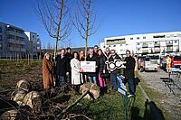 Bürgermeister Thomas Steiner mit Bürgermeistern des Bezirks, die ihren Baum direkt bei der Baumschule in Empfang nahmen. 